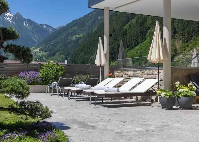 酒店 圣乔治酒店 4*