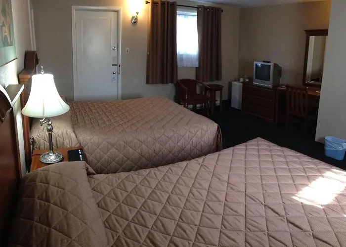 酒店 圣乔治酒店 迈尔霍芬