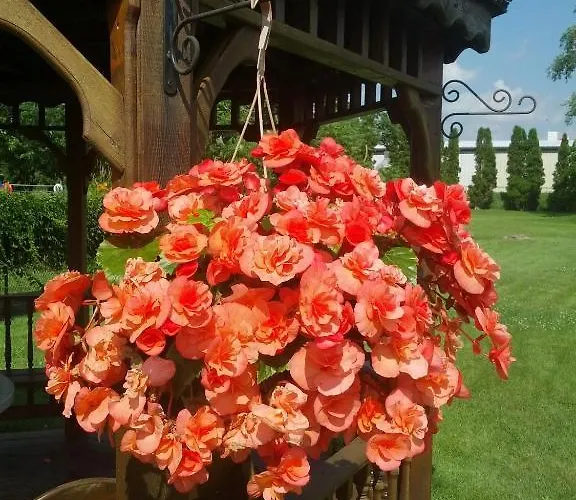 Готель St. Georg 4*