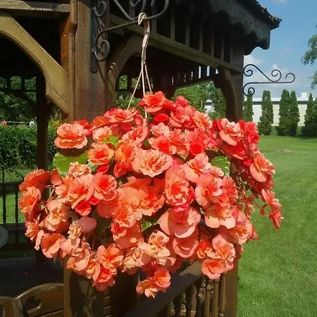 Отель St. Georg 4*